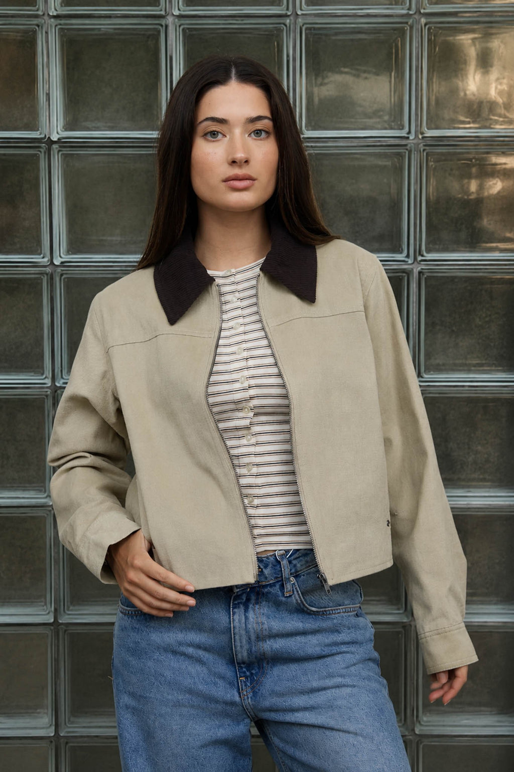 Collar Jacket