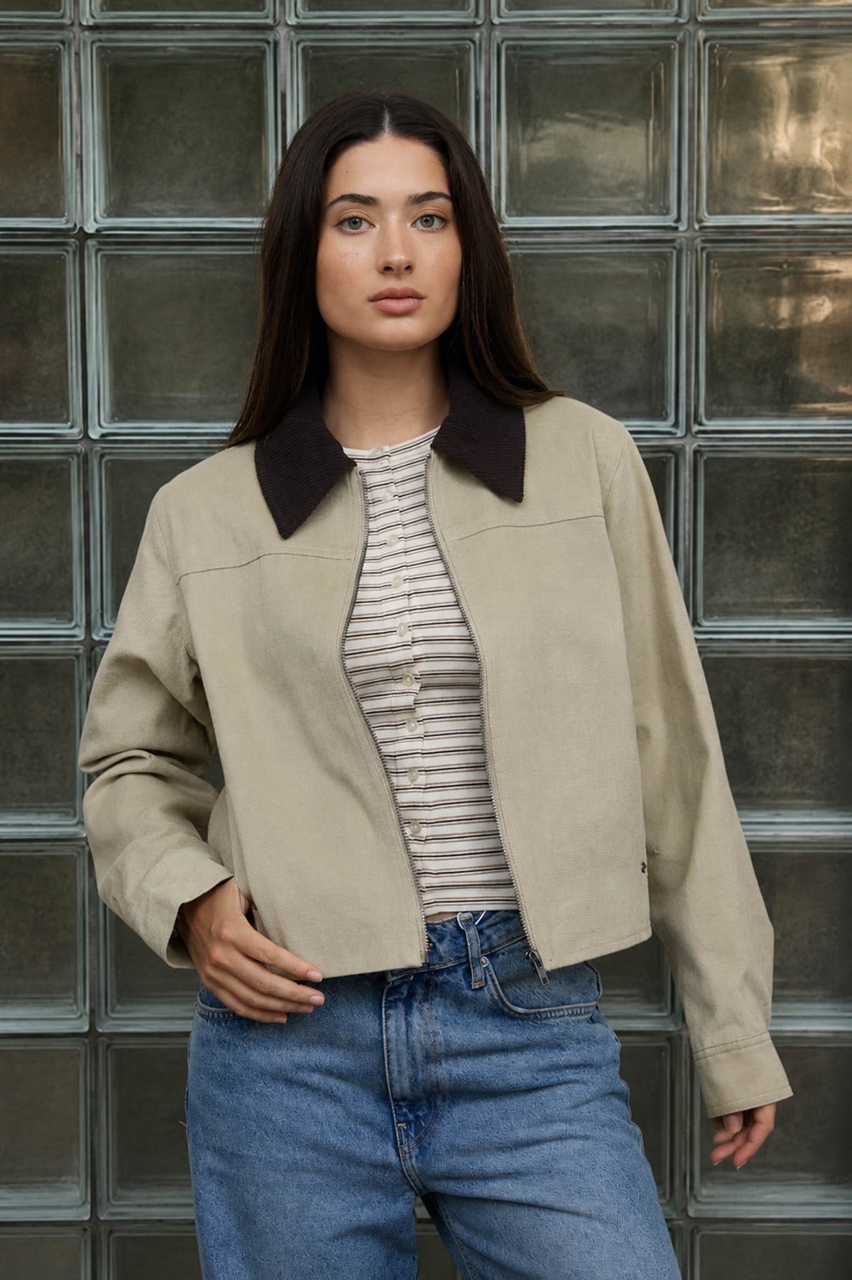 Collar Jacket