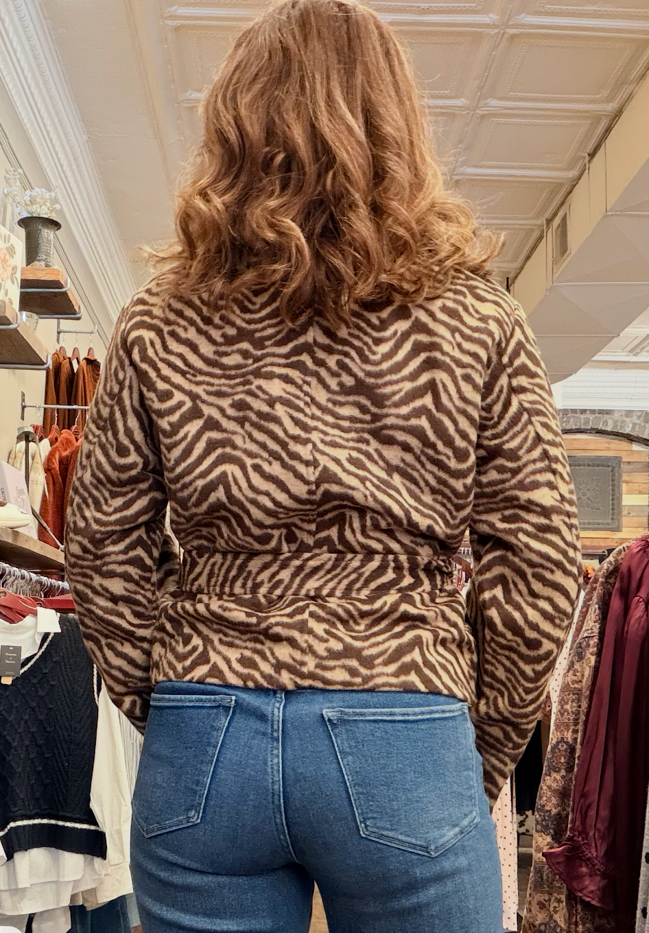Brown Zebra Jacket